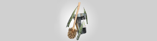 5 reasons to swap to this Biodegradable Toilet Brush - EcoVibe