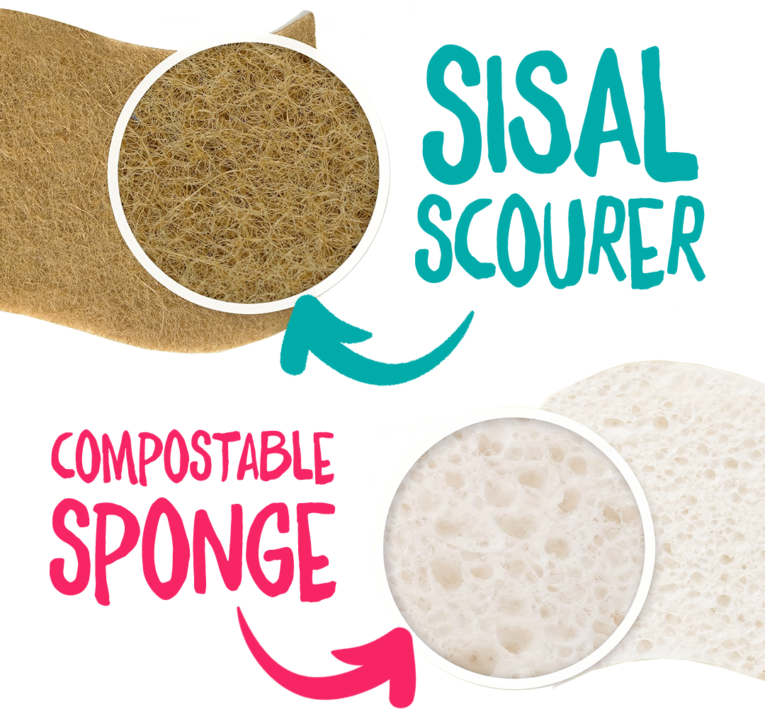 PREORDER Sisal Sponge Scourers