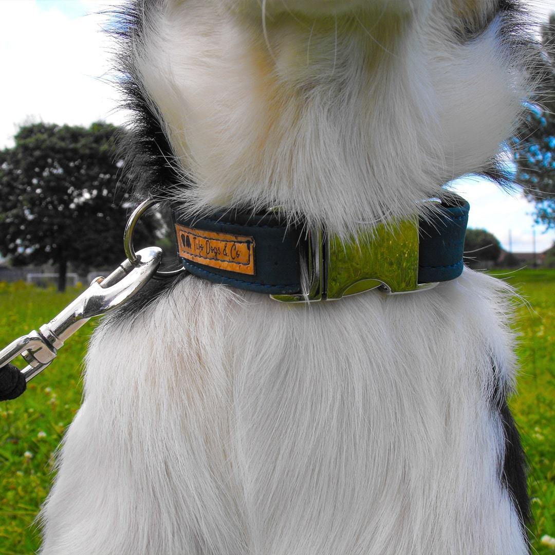 Cork Dog Collar - Petrol Blue - EcoVibe