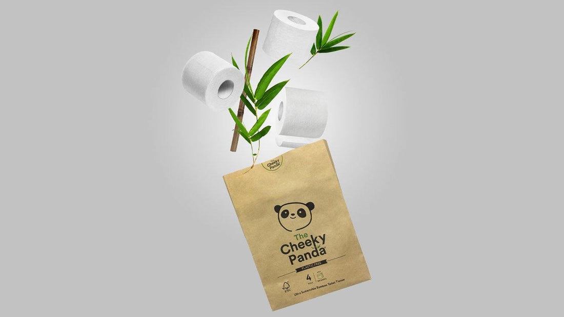 5 reasons to swap to this eco-friendly bamboo toilet roll - EcoVibe
