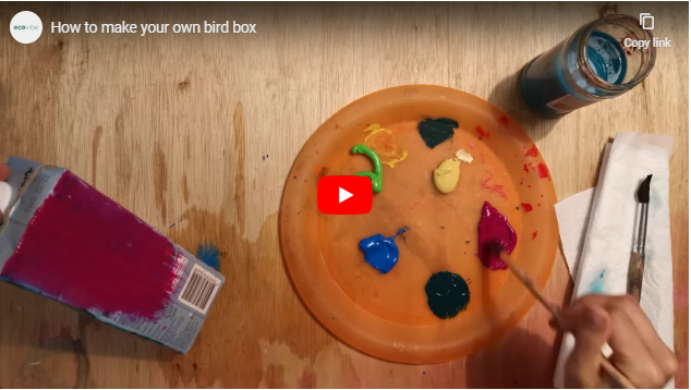 How to make your own bird box - EcoVibe