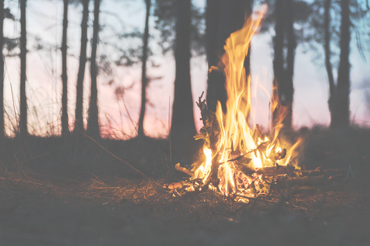 Remember, Remember... How to Have a Sustainable Bonfire Night!