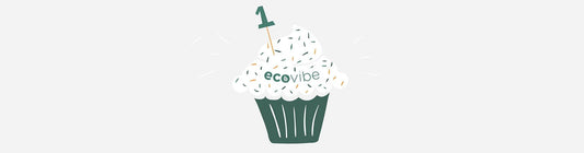 Everything we've done in our first 12 months! - EcoVibe