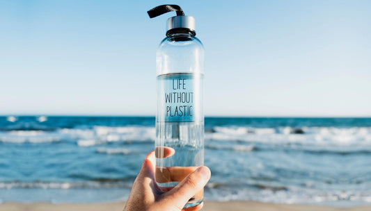 Continuing Your Plastic Free Journey after July - EcoVibe