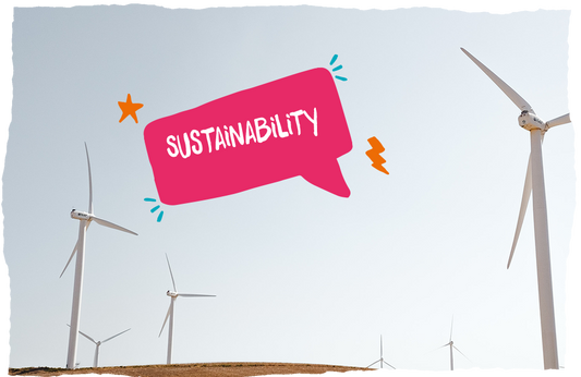 What is Sustainability?