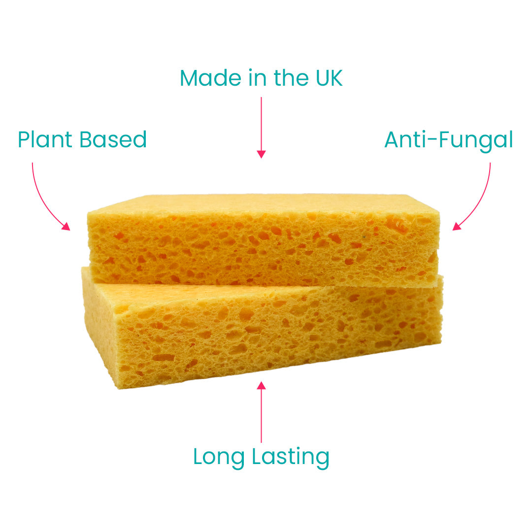 Compostable, Cellulose Sponges UK - Pack of 2