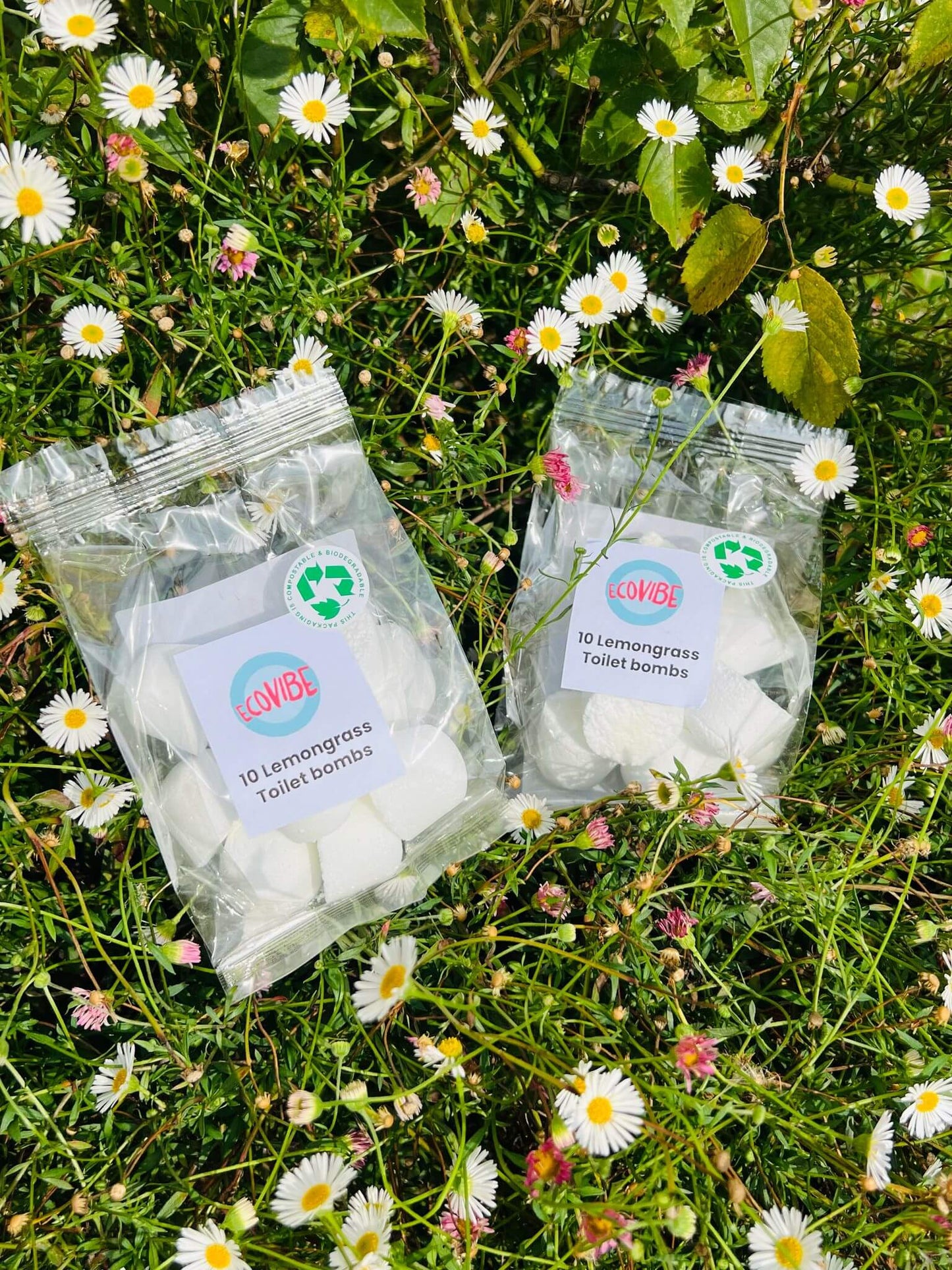 Eco-Toilet Bomb Cleaners (Essential Oils, UK Handmade)