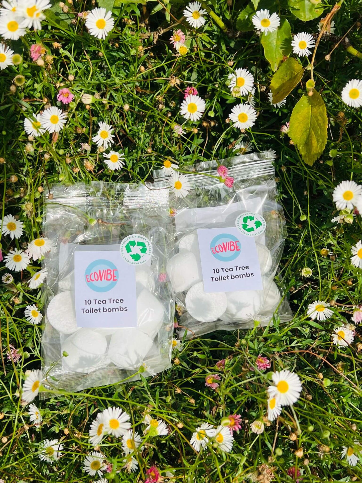 Eco-Toilet Bomb Cleaners (Essential Oils, UK Handmade)