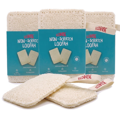 Dish Washing Loofah - Twin Pack - EcoVibe - 3 Packs