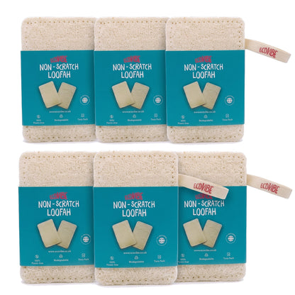 Dish Washing Loofah - Twin Pack - EcoVibe - 6 Packs