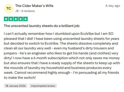 Dissolvable Laundry Detergent Strips (32 Loads, Fresh Linen Scent)