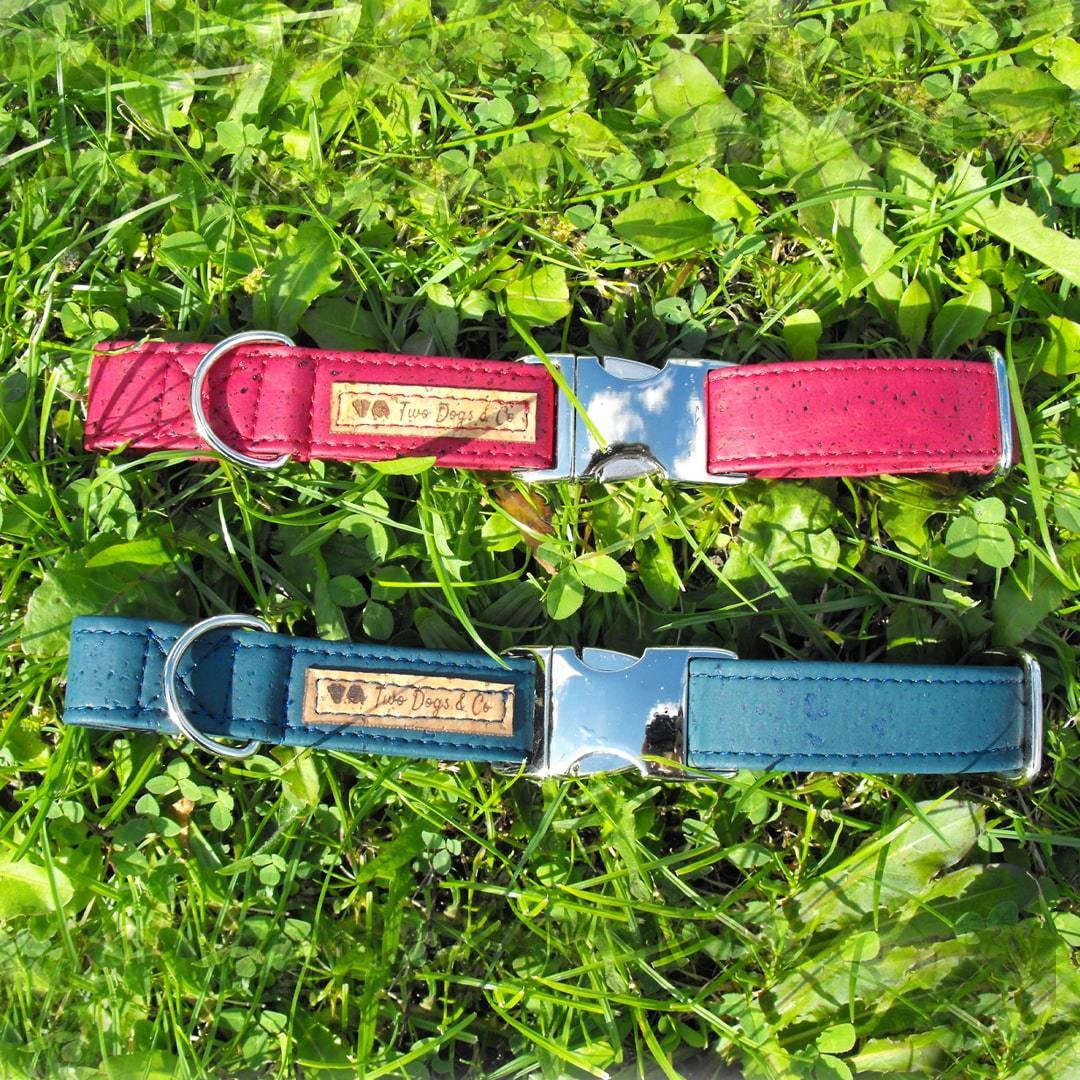 Cork Dog Collar - Petrol Blue - EcoVibe