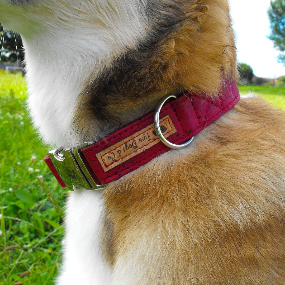 Cork Dog Collar - Burgundy - EcoVibe