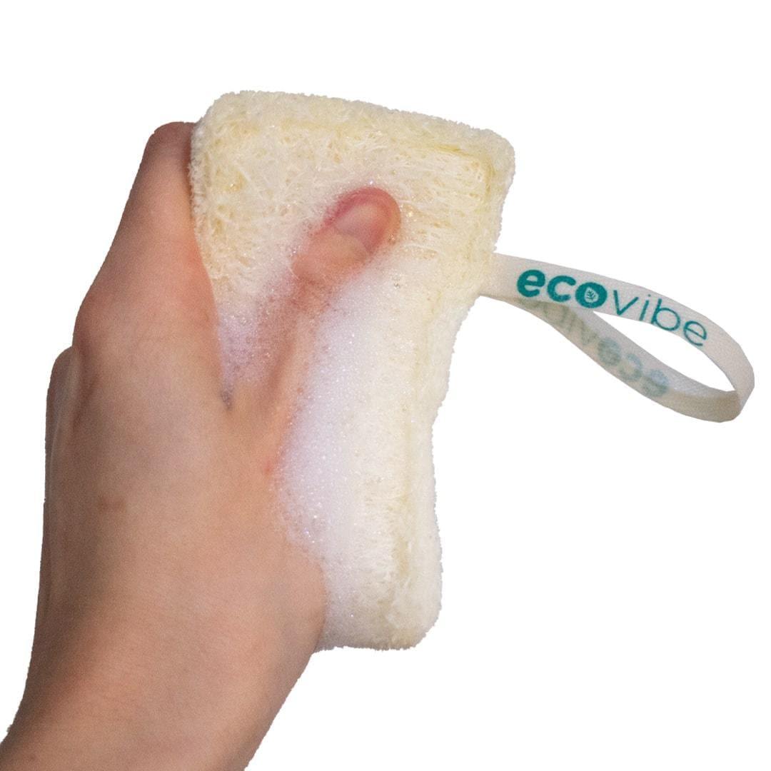 Dish Washing Loofah - Twin Pack - EcoVibe