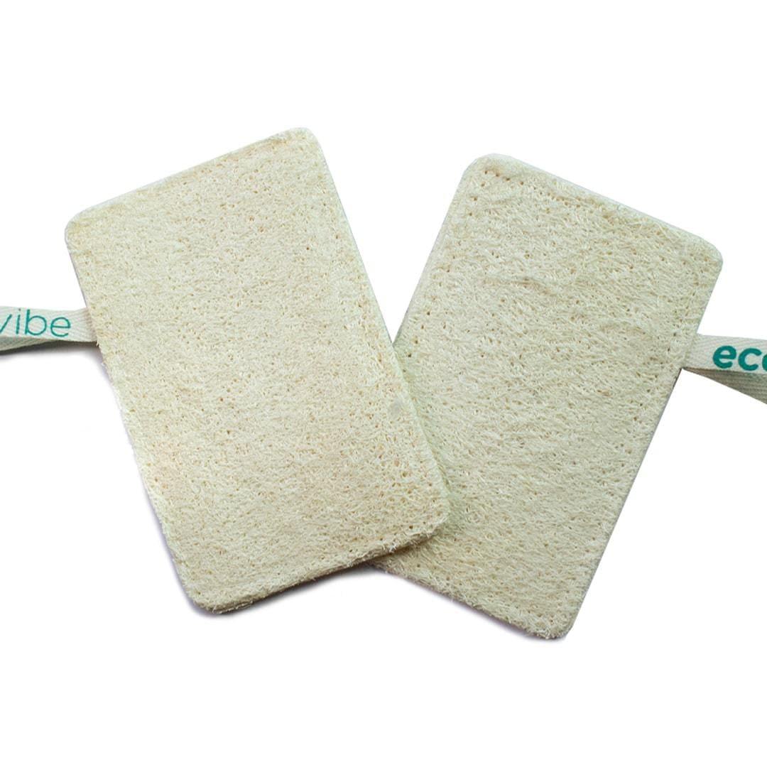 Dish Washing Loofah - Twin Pack - EcoVibe