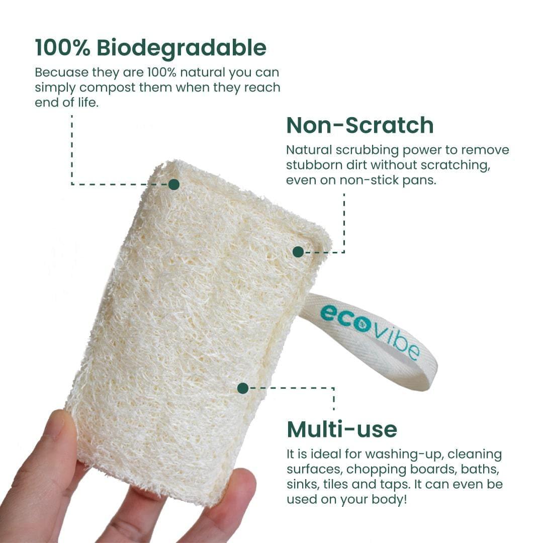 Dish Washing Loofah - Twin Pack - EcoVibe