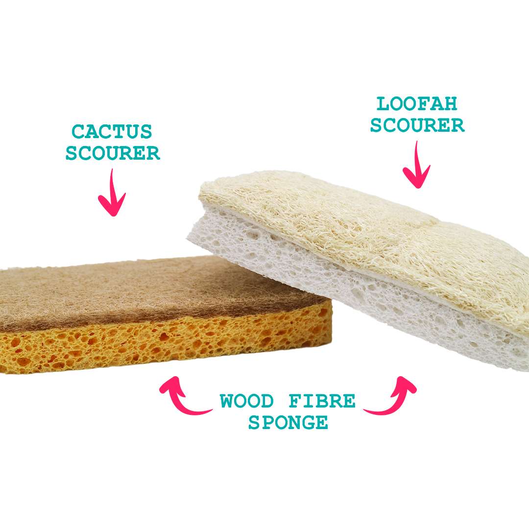 Compostable Eco Scourer Pack of 2