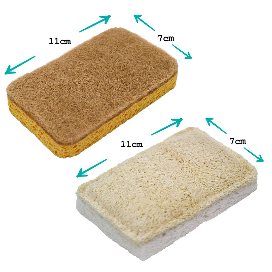 Compostable Eco Scourer Pack of 2